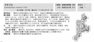 14-s-1.gif